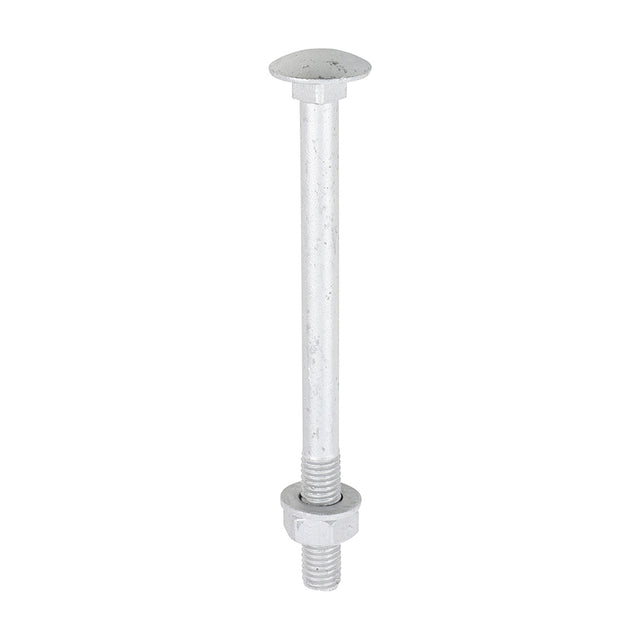 This is an image of Timco - Carriage Bolts Hex Nuts & Form A Washers - Dome - Exterior - Silver M10 x 130mm - (10 PCS TIMbag) 10130CBI