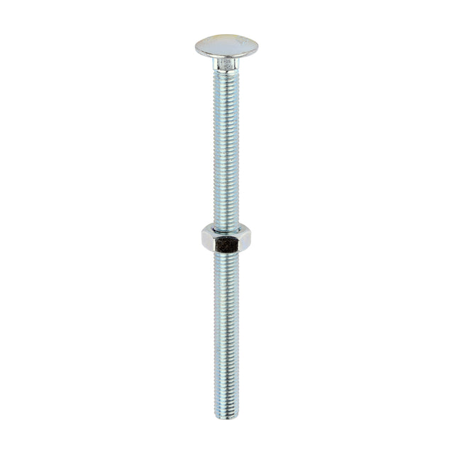 This is an image of Timco - Carriage Bolts & Hex Nuts - Zinc M10 x 150mm - (25 PCS Box) 10150CB