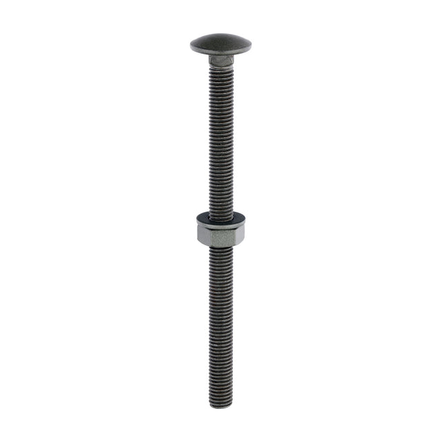 This is an image of Timco - Carriage Bolts Hex Nuts & Form A Washers - Dome - Exterior - Green M10 x 150mm - (10 PCS Bag) 10150INCB