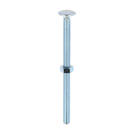 This is an image of Timco - Carriage Bolts & Hex Nuts - Zinc M10 x 160mm - (25 PCS Box) 10160CB