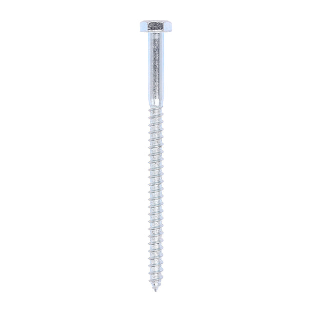 This is an image of Timco - Coach Screws - Hex - Zinc 10.0 x 160mm - (25 PCS Box) 10160CSC