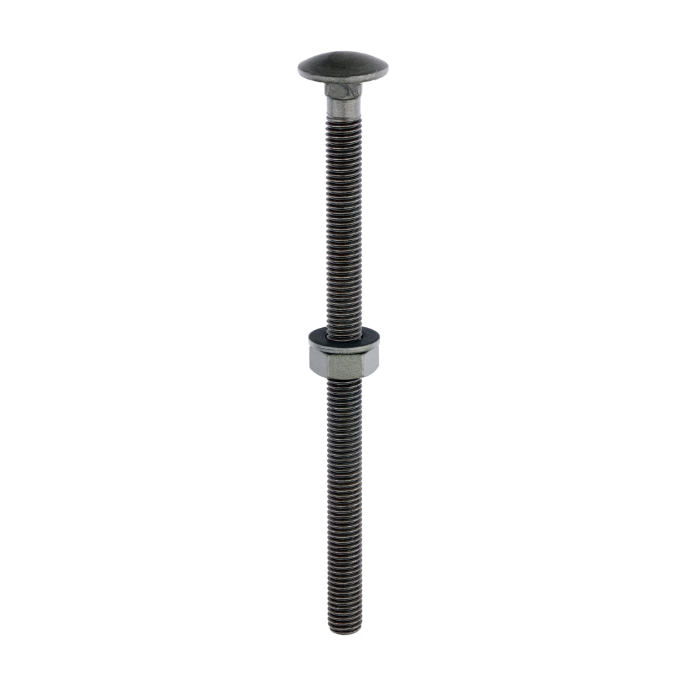 This is an image of Timco - Carriage Bolts Hex Nuts & Form A Washers - Dome - Exterior - Green M10 x 160mm - (10 PCS Bag) 10160INCB