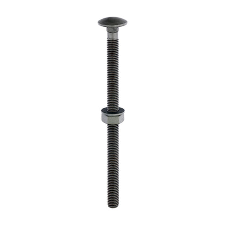 This is an image of Timco - Carriage Bolts Hex Nuts & Form A Washers - Dome - Exterior - Green M10 x 160mm - (10 PCS Bag) 10160INCB