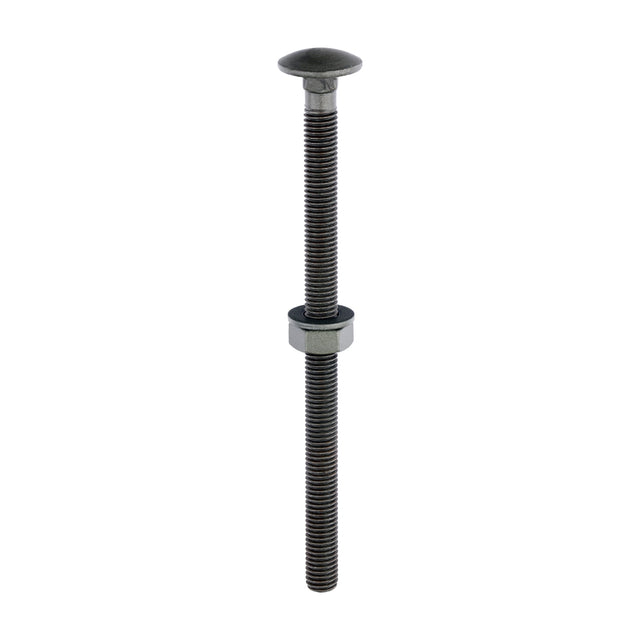 This is an image of Timco - Carriage Bolts Hex Nuts & Form A Washers - Dome - Exterior - Green M10 x 160mm - (10 PCS Bag) 10160INCB