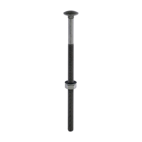 This is an image of Timco - Carriage Bolts Hex Nuts & Form A Washers - Dome - Exterior - Green M10 x 200mm - (10 PCS Bag) 10200INCB