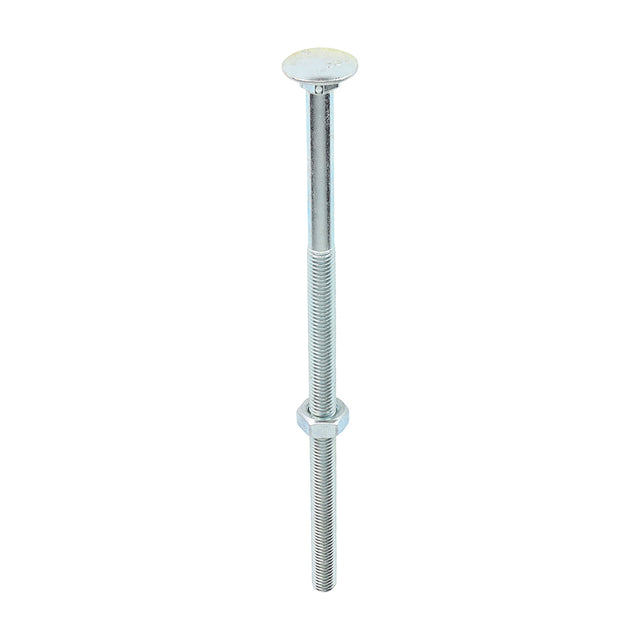 This is an image of Timco - Carriage Bolts & Hex Nuts - Zinc M10 x 220mm - (10 PCS Box) 10220CB