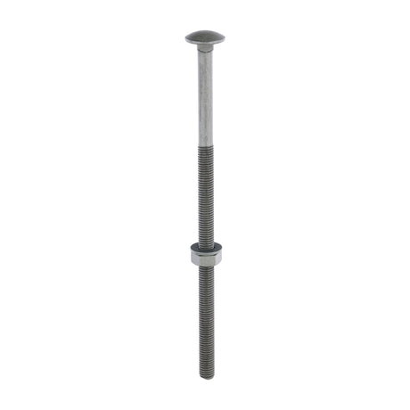 This is an image of Timco - Carriage Bolts Hex Nuts & Form A Washers - Dome - Exterior - Green M10 x 220mm - (10 PCS Bag) 10220INCB
