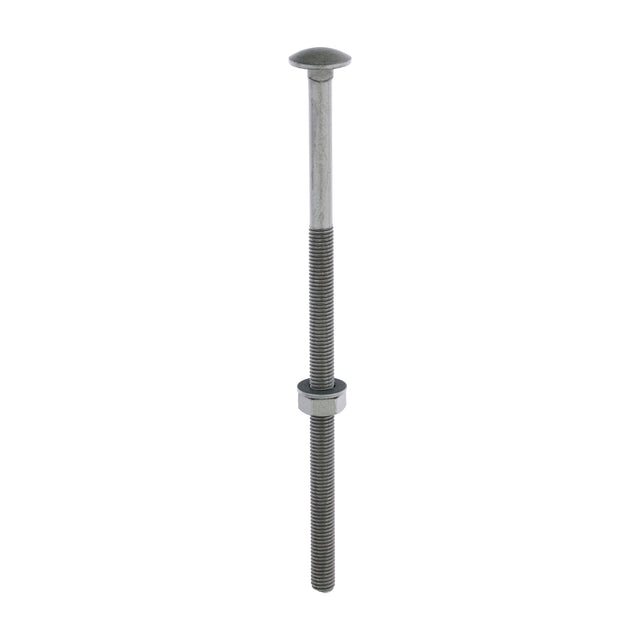 This is an image of Timco - Carriage Bolts Hex Nuts & Form A Washers - Dome - Exterior - Green M10 x 220mm - (10 PCS Bag) 10220INCB