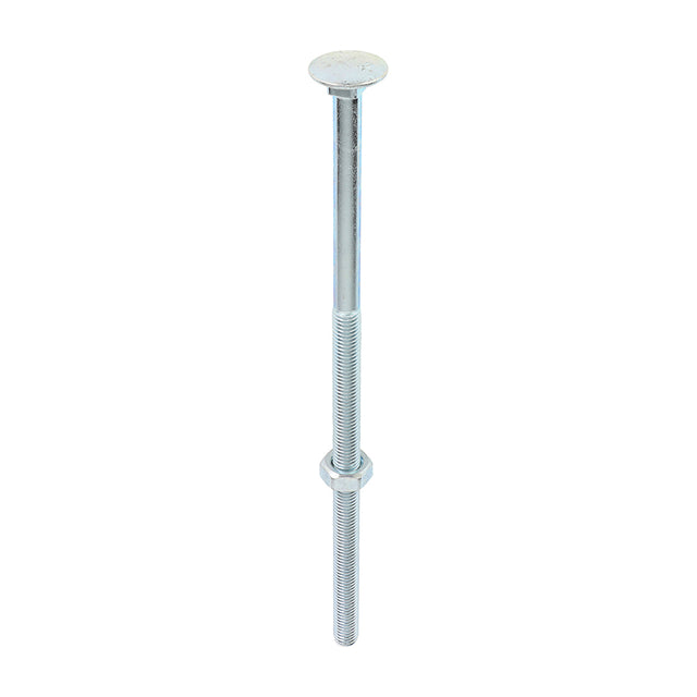 This is an image of Timco - Carriage Bolts & Hex Nuts - Zinc M10 x 240mm - (10 PCS Box) 10240CB