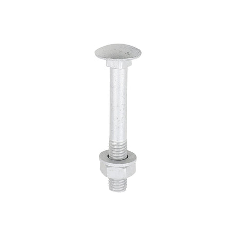 This is an image of Timco - Carriage Bolts Hex Nuts & Form A Washers - Dome - Exterior - Silver M10 x 75mm - (10 PCS TIMbag) 1075CBI