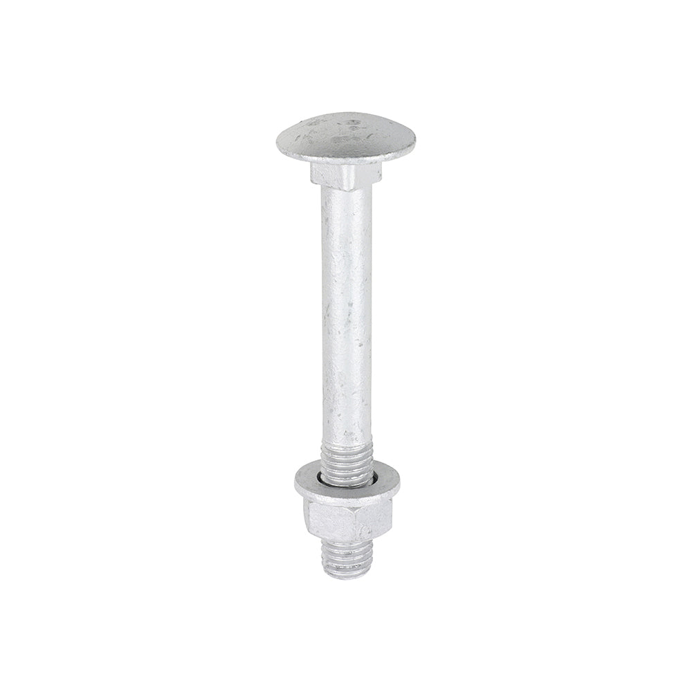 This is an image of Timco - Carriage Bolts Hex Nuts & Form A Washers - Dome - Exterior - Silver M12 x 100mm - (10 PCS TIMbag) 12100CBI