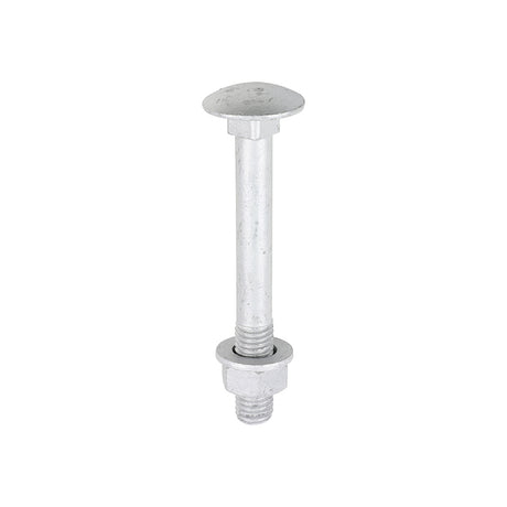 This is an image of Timco - Carriage Bolts Hex Nuts & Form A Washers - Dome - Exterior - Silver M12 x 100mm - (10 PCS TIMbag) 12100CBI
