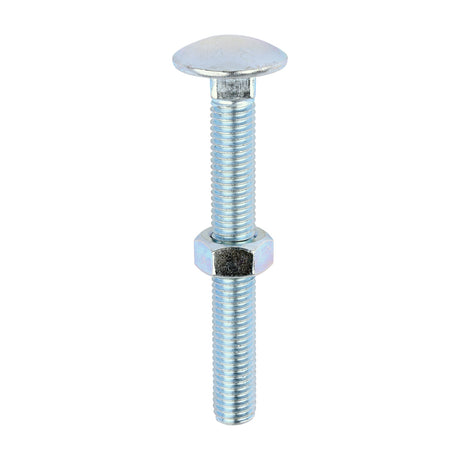 This is an image of Timco - Carriage Bolts & Hex Nuts - Zinc M12 x 100mm - (25 PCS Box) 12100CB