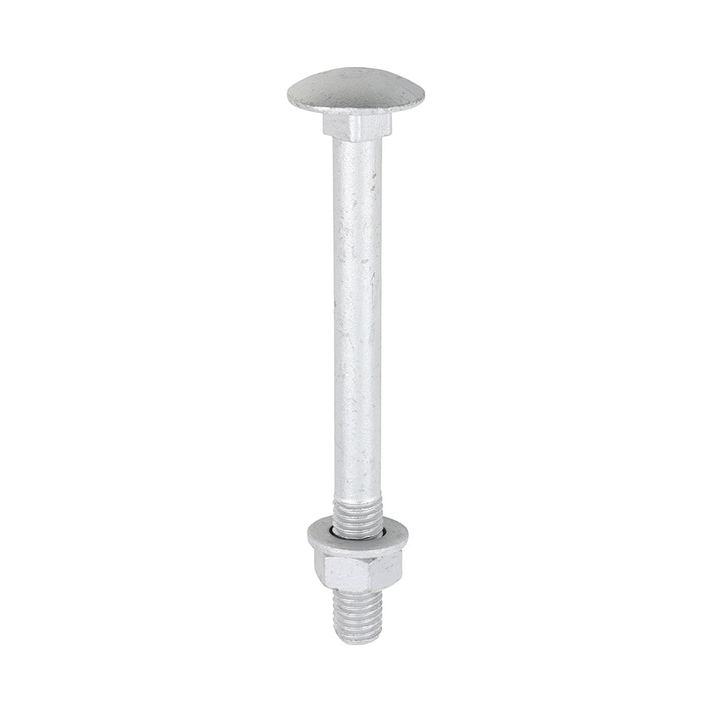 This is an image of Timco - Carriage Bolts Hex Nuts & Form A Washers - Dome - Exterior - Silver M12 x 130mm - (10 PCS TIMbag) 12130CBI