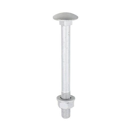 This is an image of Timco - Carriage Bolts Hex Nuts & Form A Washers - Dome - Exterior - Silver M12 x 130mm - (10 PCS TIMbag) 12130CBI