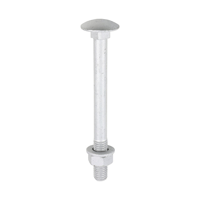 This is an image of Timco - Carriage Bolts Hex Nuts & Form A Washers - Dome - Exterior - Silver M12 x 130mm - (10 PCS TIMbag) 12130CBI