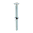 This is an image of Timco - Carriage Bolts & Hex Nuts - Zinc M12 x 150mm - (10 PCS Box) 12150CB