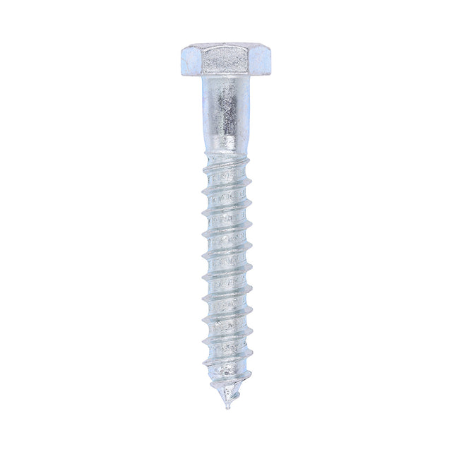 This is an image of Timco - Coach Screws - Hex - Zinc 12.0 x 80mm - (25 PCS Box) 1280CSC