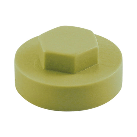 This is an image of Timco - Hex Head Cover Caps - Moorland Green 16mm - (1000 PCS Bag) 1612B21CAP