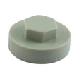 This is an image of Timco - Hex Head Cover Caps - Goosewing Grey 19mm - (1000 PCS Bag) 1910A05CAP