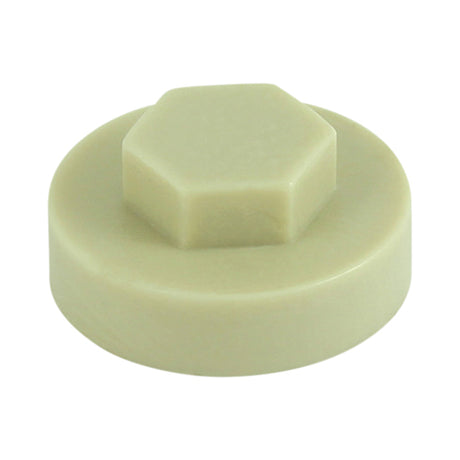 This is an image of Timco - Hex Head Cover Caps - Mushroom 19mm - (1000 PCS Bag) 1910B19CAP