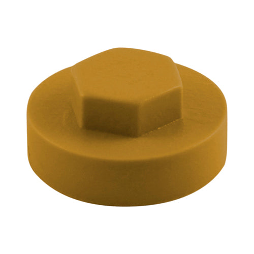 This is an image of Timco - Hex Head Cover Caps - Aztec 19mm - (1000 PCS Bag) 1910E55CAP
