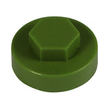 This is an image of Timco - Hex Head Cover Caps - Sage 19mm - (1000 PCS Bag) 1912D45CAP