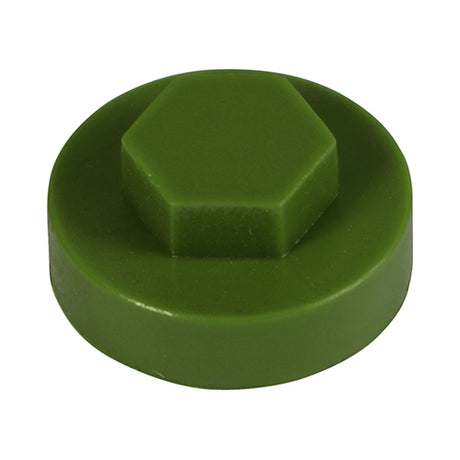 This is an image of Timco - Hex Head Cover Caps - Sage 19mm - (1000 PCS Bag) 1912D45CAP