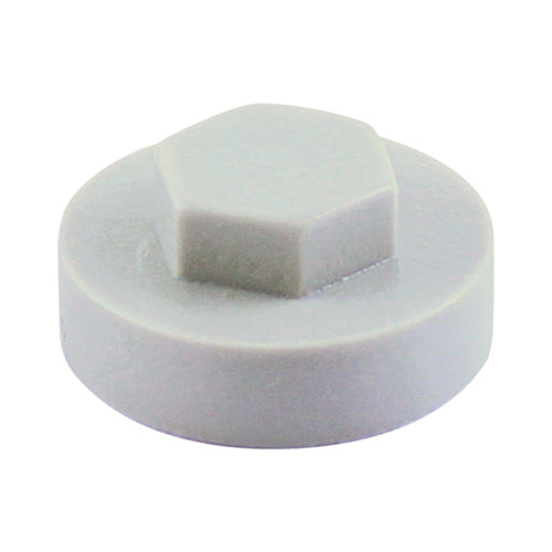 This is an image of Timco - Hex Head Cover Caps - Albatross 19mm - (1000 PCS Bag) 1918B17CAP