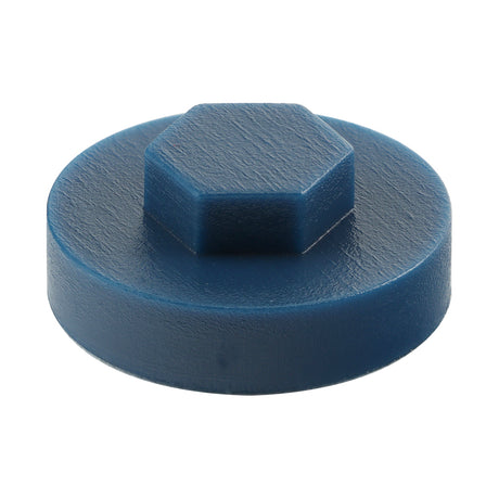 This is an image of Timco - Hex Head Cover Caps - Britannia 19mm - (1000 PCS Bag) 1918E58CAP