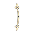 This is an image of Timco - Fleur De Lys Pull Handle - Polished Brass 178mm (1 Each TIMpac) 200563P