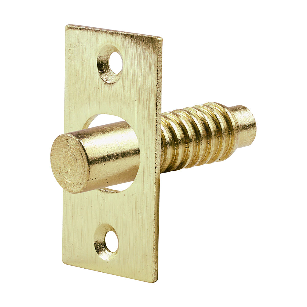 This is an image of Timco - Hinge Bolts - Electro Brass 48mm (2 Pieces TIMpac) 200606P