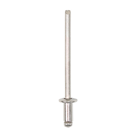This is an image of Timco - Rivets - Dome Head - A2 Stainless Steel 3.2 x 6mm - (500 PCS Box) 748023