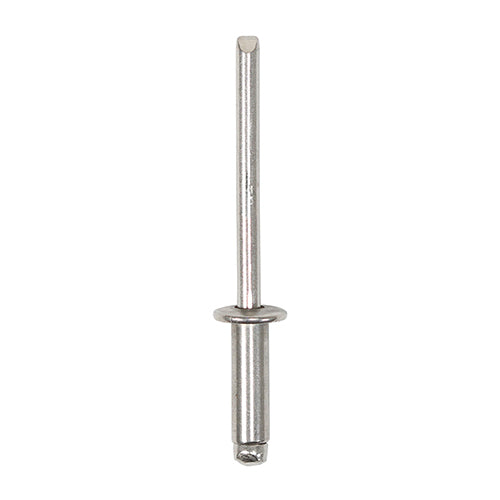 This is an image of Timco - Rivets - Dome Head - A2 Stainless Steel 4.0 x 12mm - (250 PCS Box) 748531