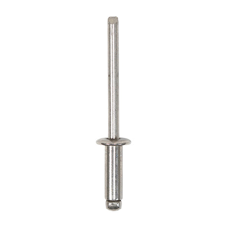This is an image of Timco - Rivets - Dome Head - A2 Stainless Steel 4.8 x 14mm - (250 PCS Box) 748868