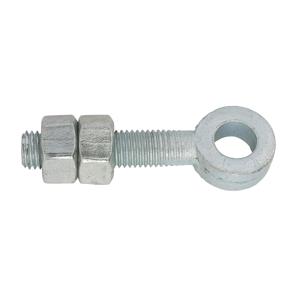 This is an image of Timco - Adjustable Gate Eyes with Nuts - Zinc M19 x 100 (1 Each Unit) AGE19100Z