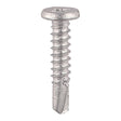 This is an image of Timco - Metal Construction Sheet & Framing Screws - PH - Low Profile Pancake - Exterior - Silver Organic 5.5 x 19mm - (500 PCS Box) FP19