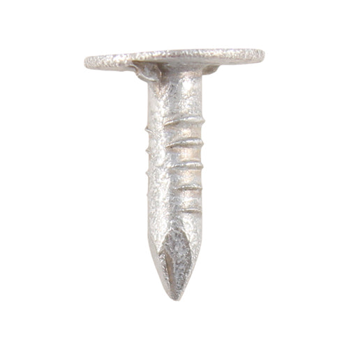 This is an image of Timco - Extra Large Head Clout Nails - Galvanised 20 x 3.00mm (0.5 Kg TIMbag) GEC20MB