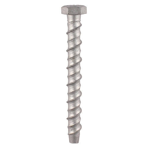 This is an image of Timco - Masonry Bolts - Hex - Exterior - Silver 10.0 x 130mm - (2 PCS TIMpac) MF10130PRE