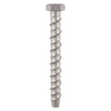 This is an image of Timco - Masonry Bolts - Hex - Exterior - Silver 10.0 x 130mm - (2 PCS TIMpac) MF10130PRE