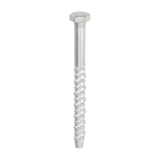 This is an image of Timco - Multi-Fix Masonry Bolts - Hex - Exterior - Silver 12.0 x 150mm - (25 PCS Box) MF12150