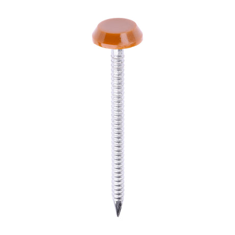 This is an image of Timco - Polymer Headed Nails - A4 Stainless Steel - Clay Brown 50mm (100 PCS Box) PN50CB