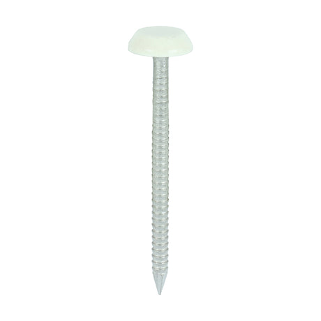 This is an image of Timco - Polymer Headed Nails - A4 Stainless Steel - Chartwell Green 50mm (100 PCS Box) PN50CG