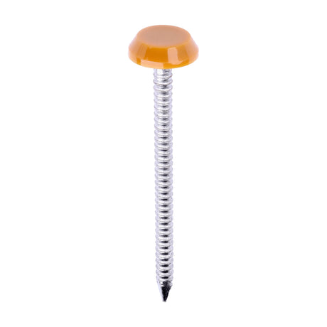 This is an image of Timco - Polymer Headed Nails - A4 Stainless Steel - Oak 50mm (100 PCS Box) PN50O