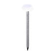 This is an image of Timco - Polymer Headed Nails - A4 Stainless Steel - White 50mm (100 PCS Box) PN50W