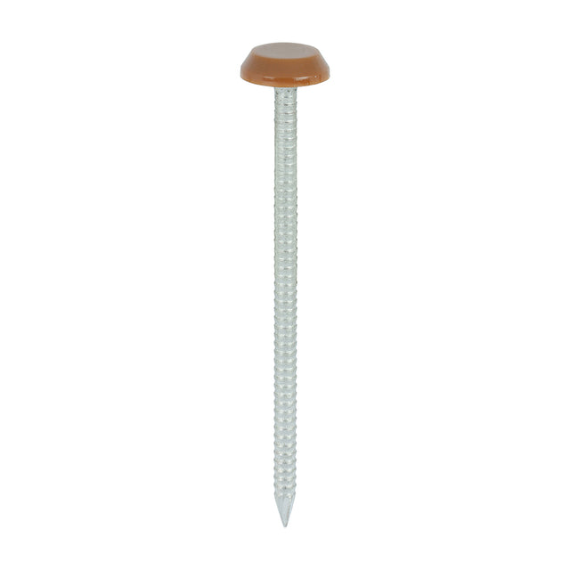 This is an image of Timco - Polymer Headed Nails - A4 Stainless Steel - Clay Brown 65mm (100 PCS Box) PN65CB