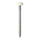 This is an image of Timco - Polymer Headed Pins - Stainless Steel - White 30mm (60 PCS TIMpac) PP30WP