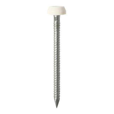 This is an image of Timco - Polymer Headed Pins - Stainless Steel - White 30mm (60 PCS TIMpac) PP30WP