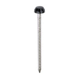 This is an image of Timco - Polymer Headed Pins - A4 Stainless Steel - Anthracite Grey 40mm (250 PCS Box) PP40AG