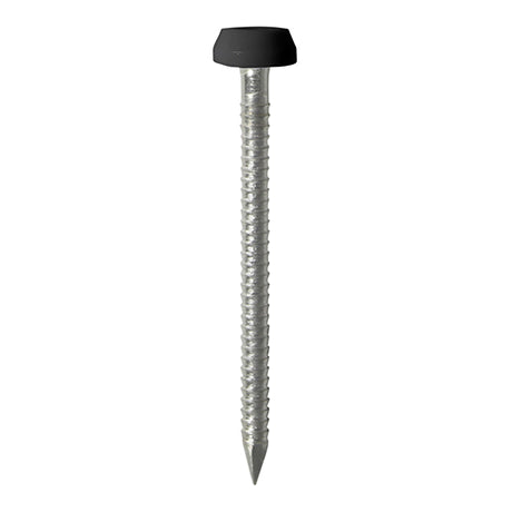 This is an image of Timco - Polymer Headed Pins - Stainless Steel - Black 40mm (50 PCS TIMpac) PP40BLP